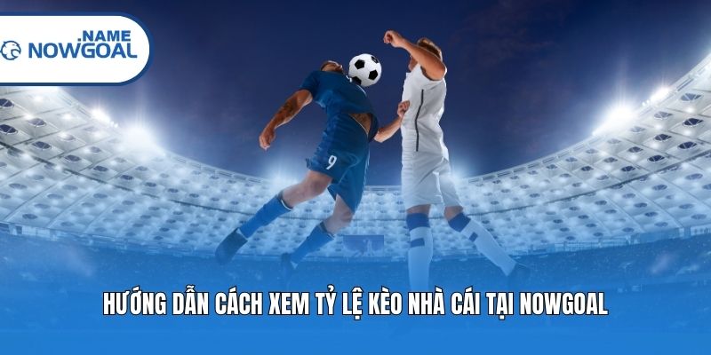 Hướng dẫn cách xem tỷ lệ kèo nhà cái tại Nowgoal