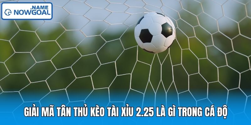 Giải mã tân thủ kèo tài xỉu 2.25 là gì trong cá độ