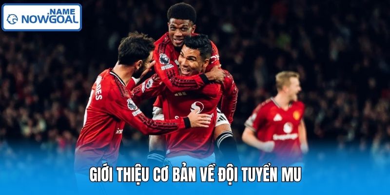 Giới thiệu cơ bản về đội tuyển Mu