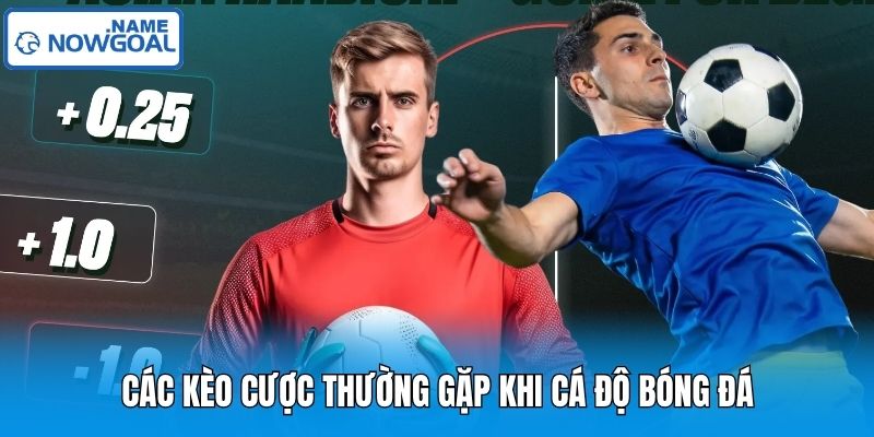 Các kèo cược thường gặp khi cá độ bóng đá