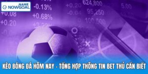 Kèo Bóng Đá Hôm Nay – Tổng Hợp Thông Tin Bet Thủ Cần Biết