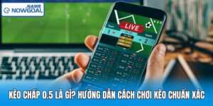 Kèo Chấp 0.5 Là Gì? Hướng Dẫn Cách Chơi Kèo Chuẩn Xác