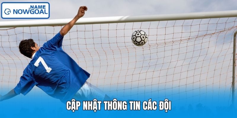 Cập nhật thông tin các đội