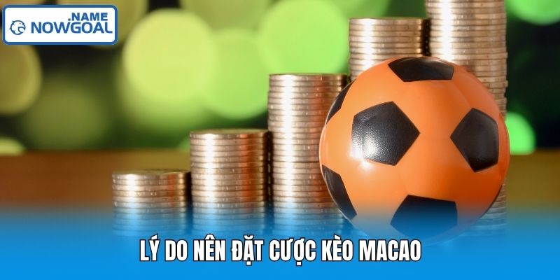 Lý do nên đặt cược kèo Macao