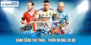 Sảnh Saba Thể Thao - Thiên Đường Cá Độ
