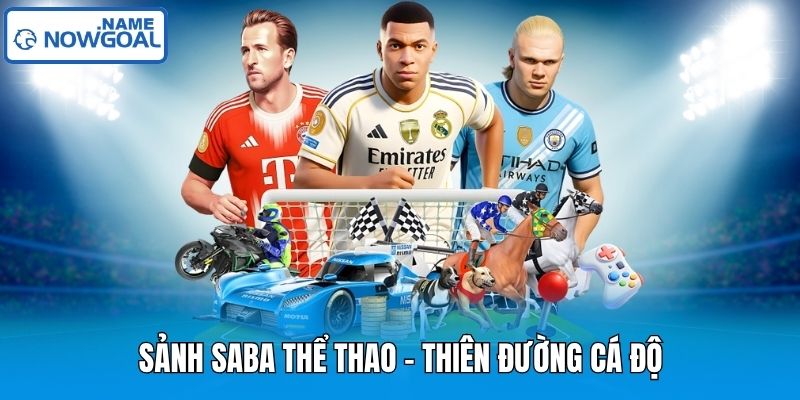 Sảnh Saba Thể Thao - Thiên Đường Cá Độ