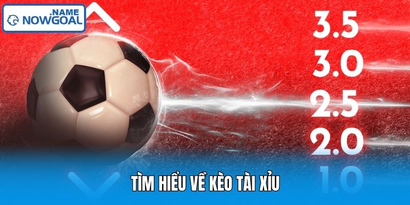 Tìm hiểu về kèo tài xỉu