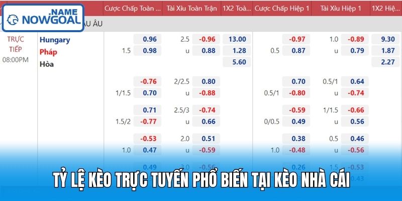 Tỷ Lệ Kèo Trực Tuyến Phổ Biến Tại Kèo Nhà Cái